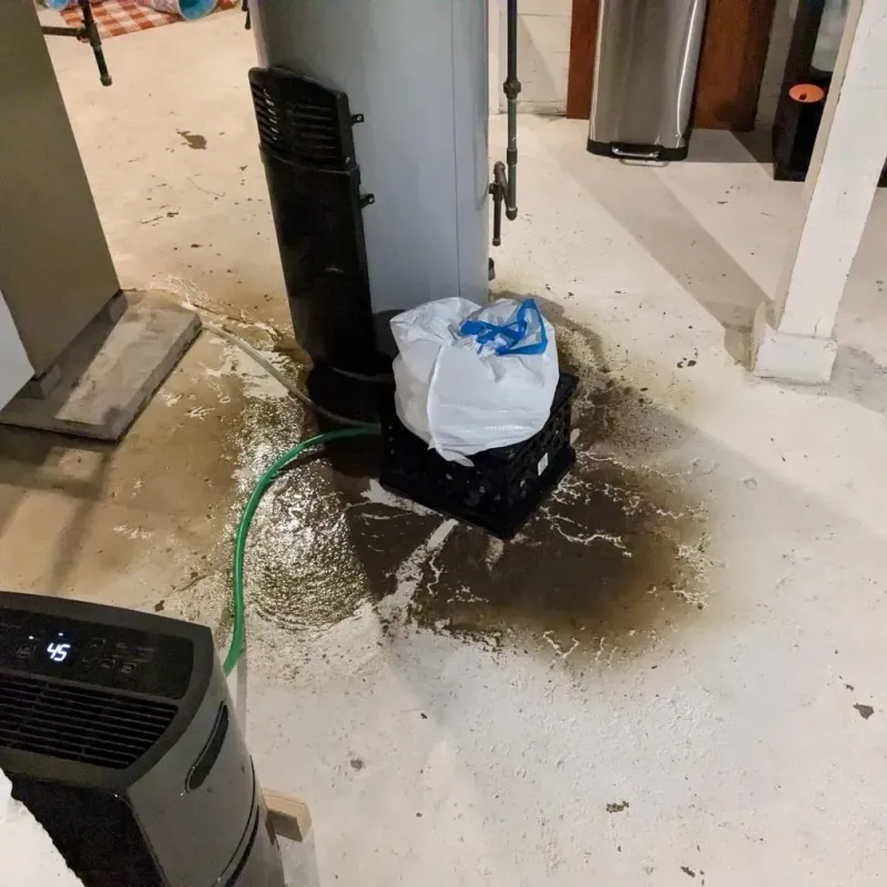 Sewage Backup Cleanup Service in Toppenish, WA